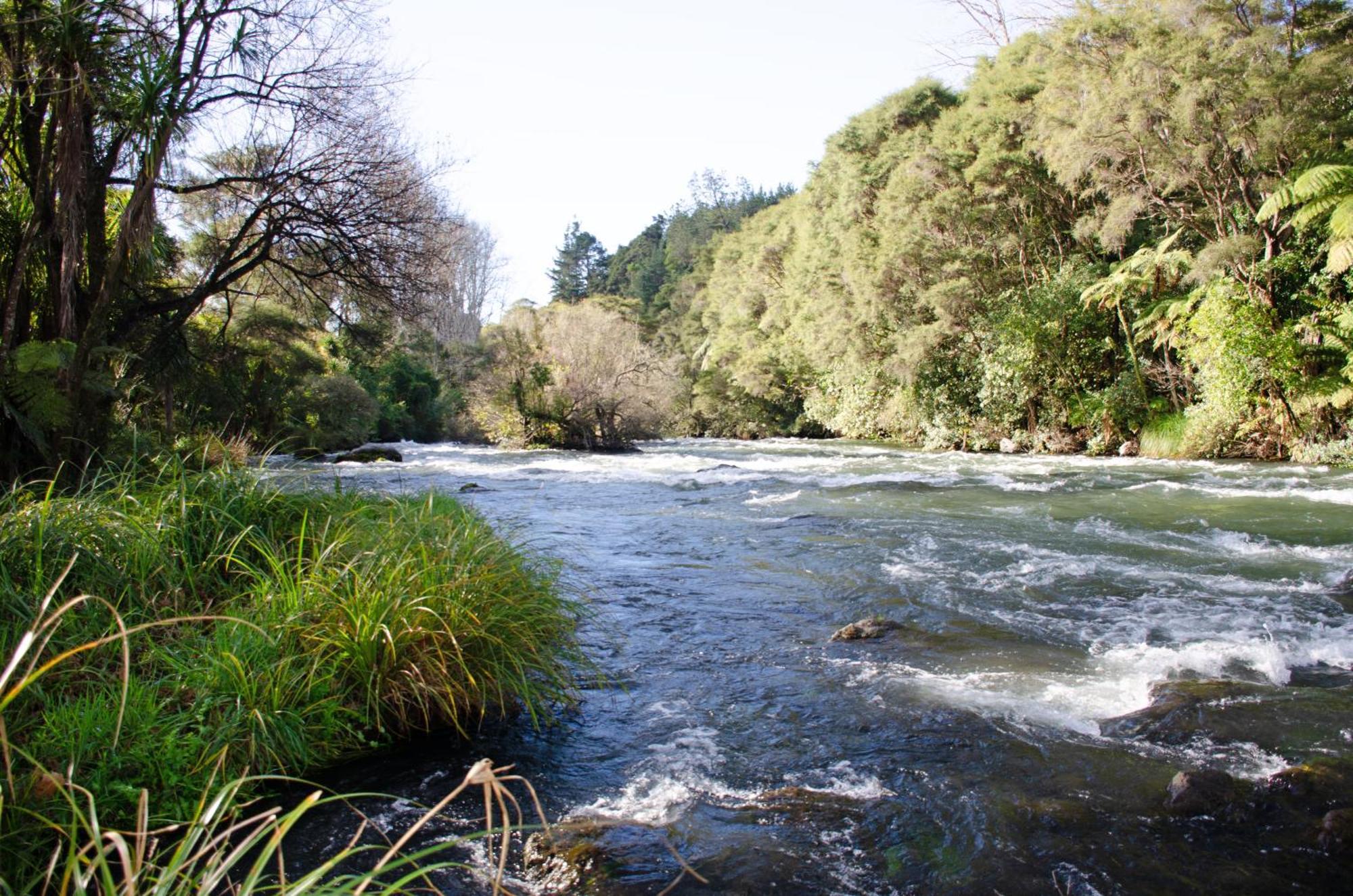 Tarawera River Lodge Motel Kawerau Extérieur photo